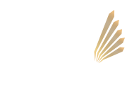 orły transportu